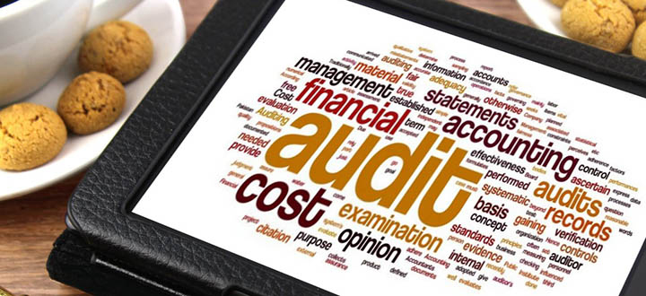 International collaboration examines a 21<sup>st</sup> century auditing philosophy
